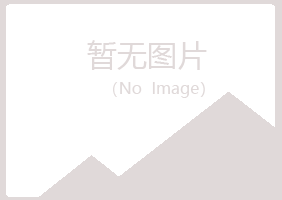 宁波北仑埋没音乐有限公司